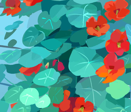 Color study